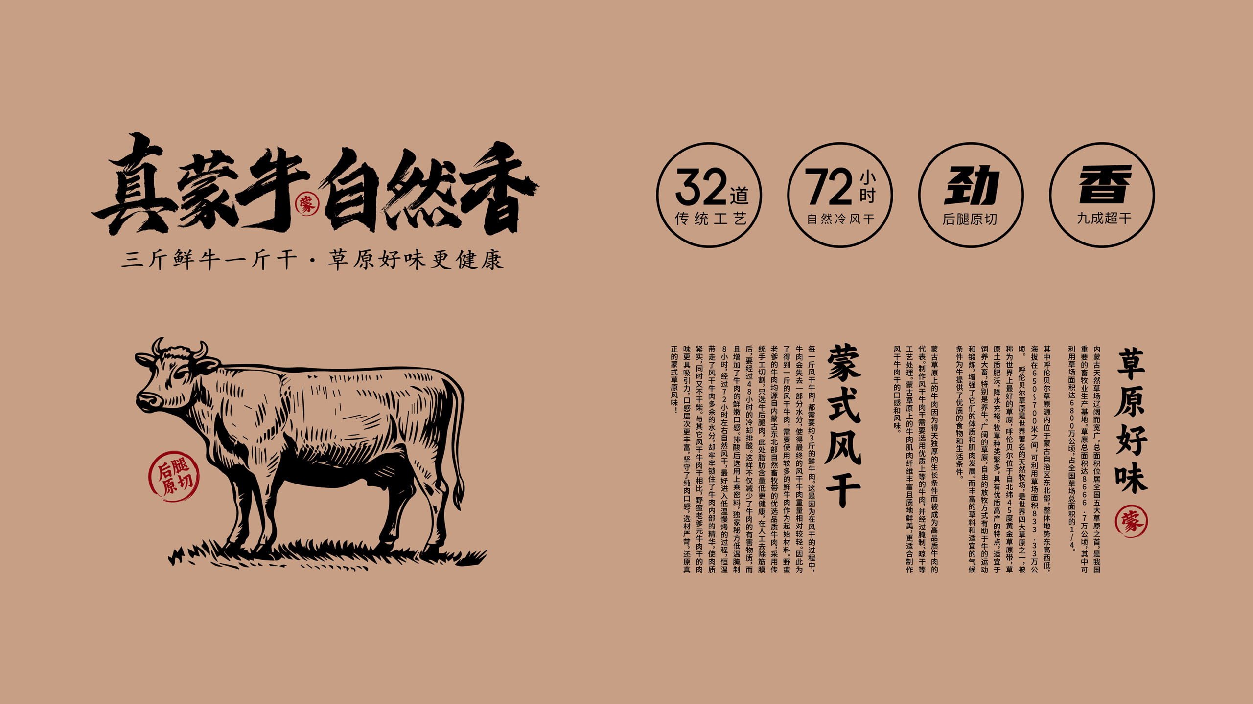 風干牛肉品牌包裝設(shè)計
